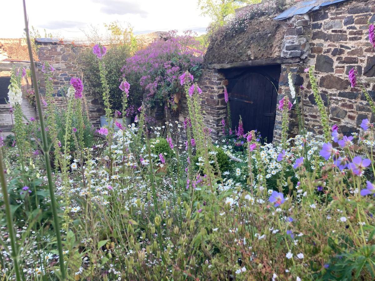 Frizenham Farmhouse Little Torrington Εξωτερικό φωτογραφία